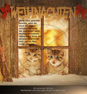E-Card - Tierische Weihnachtsgrüße - zwei Süße Katzen am Fenster (0112)