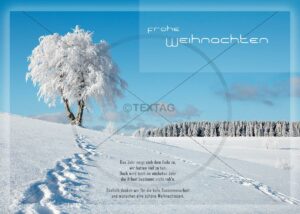 romantische Weihnachts-E-Card mit Spruch ohne Werbung "Winterland" (176)