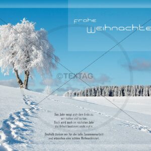 romantische Weihnachts-E-Card mit Spruch ohne Werbung "Winterland" (176)