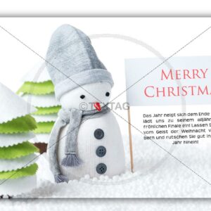 niedliche Weihnachts E-Card mit Schneemann, geschäftlich (228)