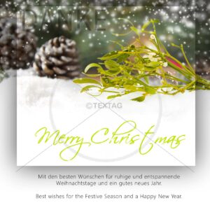 Weihnachts E-Card mit Mistelzweig NSL-2018-00221