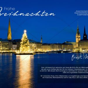 exklusive Weihnachts E-Card mit Christbaum auf der Alster in Hamburg, ohne Werbung (314)