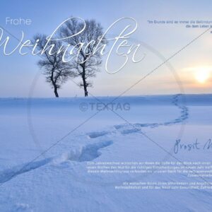 umweltfeundliche geschäftliche Weihnachts E-Card "romantische Winterlandschaft" (315)