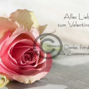 Valentinstag E-Card mit Rose und Spruch (00468)