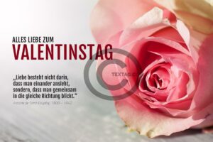 Valentinstag E-Card mit Rose und besinnlichen Spruch, ohne Werbung (00497)