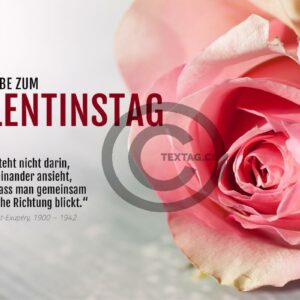 Valentinstag E-Card mit Rose und besinnlichen Spruch, ohne Werbung (00497)