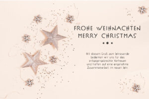 geschäftliche Weihnachts-E-Card in Rosé-Gold Pastell, ohne Werbung, mit Spruch (0669)