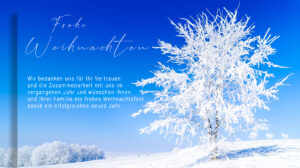 Weihnachts E-Card, Winterlandschaft, geschäftlich, mit Spruch, ohne Werbung (726)