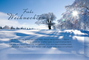 Weihnachts E-Card, Winterlandschaft, geschäftlich, mit Spruch, ohne Werbung (727)