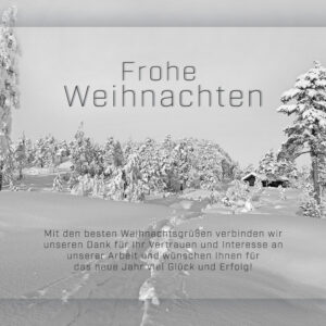 Weihnachts E-Card geschäftlich, Winterlandschaft mit Spruch, schwarz/weiß, ohne Werbung (729)
