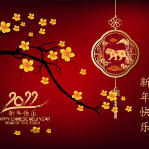 chinesische Neujahrs-E-Cards, Jahr des Tigers, geschäftlich, ohne Werbung (834)