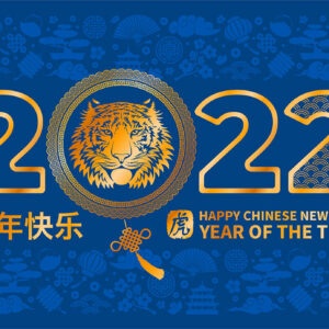 chinesische Neujahrs-E-Cards, Jahr des Tigers, geschäftlich, ohne Werbung (843)