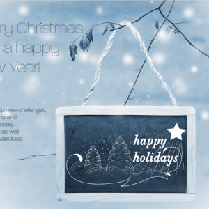 geschäftliche Weihnachts-E-Card ohne Werbung, mit Spruch (EN) (0863)