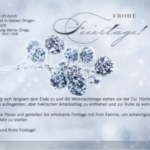 geschäftliche, winterliche Weihnachts E-Card in Pastellgrau mit Spruch, ohne Werbung (888)