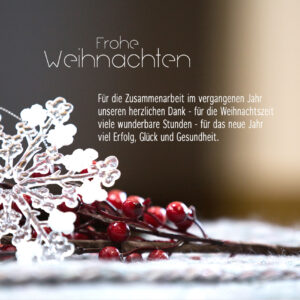 geschäftliche Weihnachts E-Card mit roten Beeren, mit Spruch, ohne Werbung (902)
