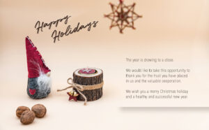 Weihnachts-E-Card für Kunden "Happy Holidays" ohne Werbung, mit Spruch EN (923)