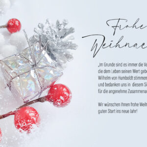 geschäftliche Weihnachts E-Card mit roten Beeren, mit Spruch, ohne Werbung (942)