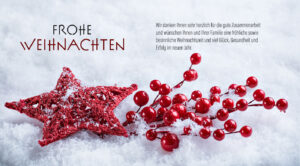 geschäftliche Weihnachts E-Card mit roten Beeren, mit Spruch, ohne Werbung (943)
