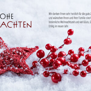 geschäftliche Weihnachts E-Card mit roten Beeren, mit Spruch, ohne Werbung (943)
