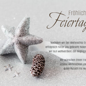 digitale Weihnachtkarte geschäftlich, edle Weihnachts E-Card mit Stern. ohne Werbung, mit Spruch (1020)