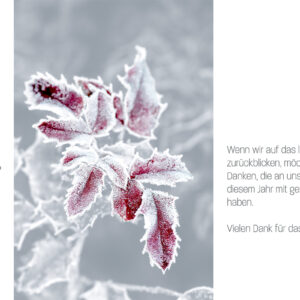 edle geschäftliche Weihnachts E-Card mit vereister roter Blüte, Grau, Weiß, pastell mit neuteralem Spruch, ohne Werbung (1037)