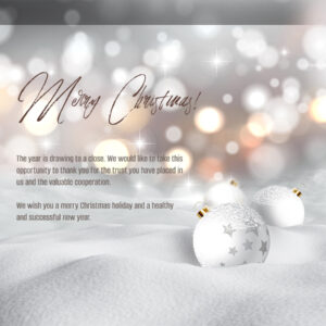elegante, geschäftliche Weihnachts E-Card in Weiß & Silber, mit Spruch in EN, ohne Werbung (1064)