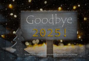 Goodbye 2024 - Silvester-E-Card, mit Spruch, werbefrei online kaufen (124)