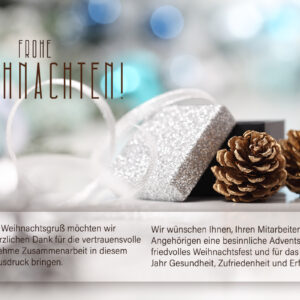 edle, geschäftliche Weihnachtskarte in Pastell mit Kieferzapfen, Weihnachts E-Card ohne Werbung, mit Spruch (1089)