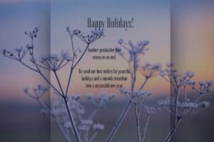 Environmentally conscious Christmas e-card in delicate pastel colors with delicate grasses and hoarfrost, English message, no advertising (1155).