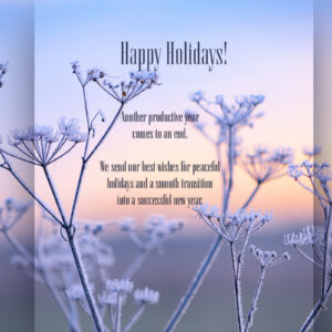 Environmentally conscious Christmas e-card in delicate pastel colors with delicate grasses and hoarfrost, English message, no advertising (1155).