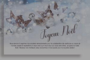 Carte de vœux de Noël professionnelle respectueuse de l'environnement, sans publicité, avec une citation en français (1128).