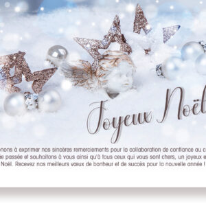 Carte de vœux de Noël professionnelle respectueuse de l'environnement, sans publicité, avec une citation en français (1128).