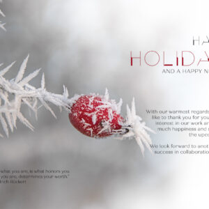 Environmentally friendly Christmas E-card with red rose hip and English message, no advertising (1166)