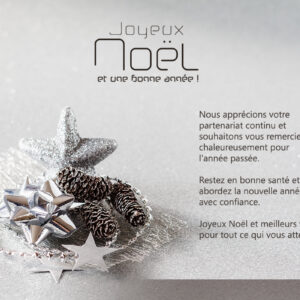 stilvolle geschäftliche Weihnachts E-Card in Pastell, ohne Werbung mit Spruch auf Französisch(1178)