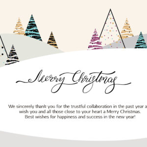 Weihnachts E-Card - Business eCard"MERRY CHRISTMAS" für Kunden mit Spruch auf Englisch, ohne Werbung (1406)